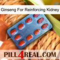 Ginseng For Reinforcing Kidney 06